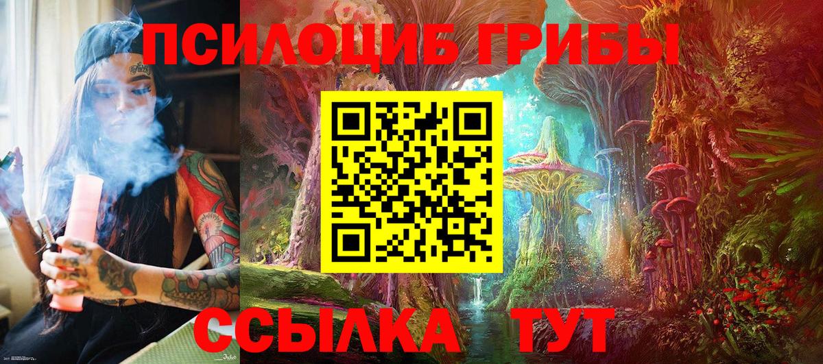 Галлюциногенные грибы мицелий Камышлов