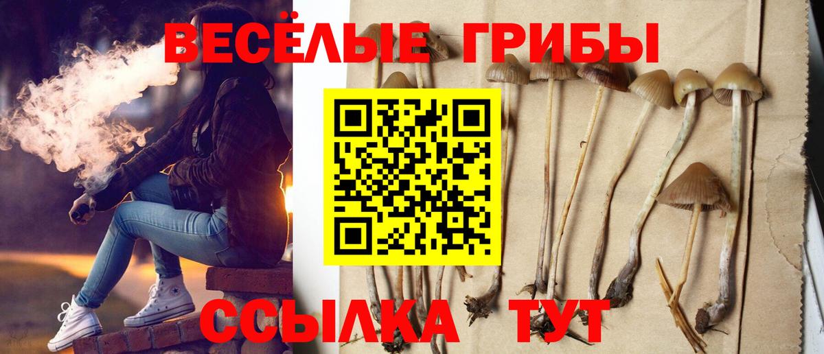 наркотики  Псилоцибиновые грибы Cubensis  Вход с VPN  Псилоцибиновые грибы Psilocybe  Камышлов 