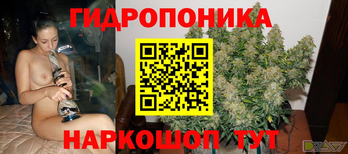 Бошки марихуана план  Канабис SATIVA & INDICA  Камышлов  Бошки марихуана сатива  Вход с VPN  Марихуана MAZAR 